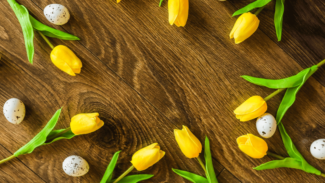 DDM Štětí vám přeje Velikonoce veselé a barevné jako kraslice.