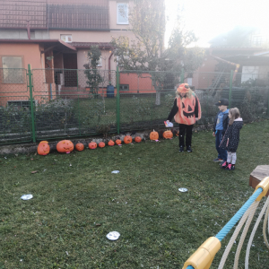 IMG_20211029_163323.jpg