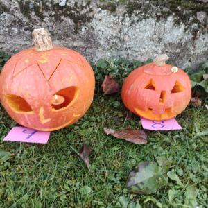 IMG_20211029_165849.jpg