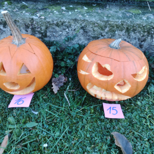 IMG_20211029_165910.jpg