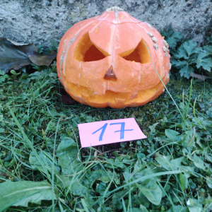 IMG_20211029_165914.jpg