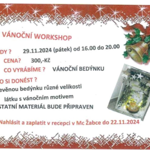 vánoční_workshop-1.jpg