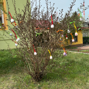 IMG-20250422-WA0013.jpg