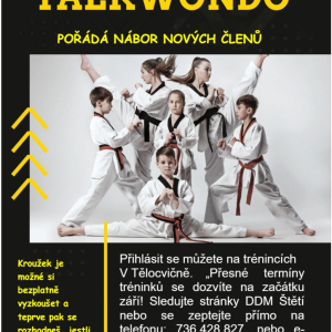 TAEKWONDO - NÁBOR